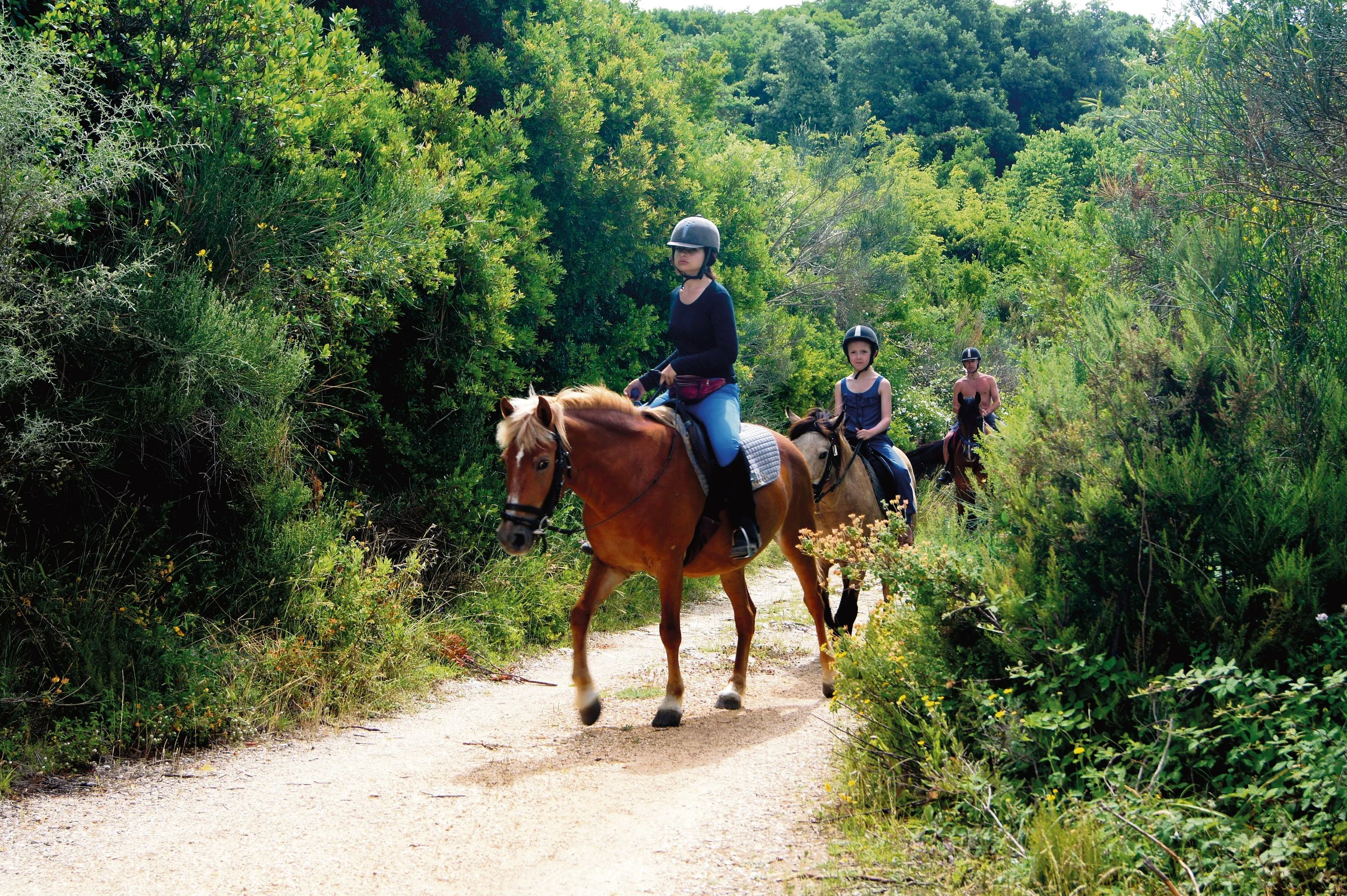 corfu-horse-riding.jpg