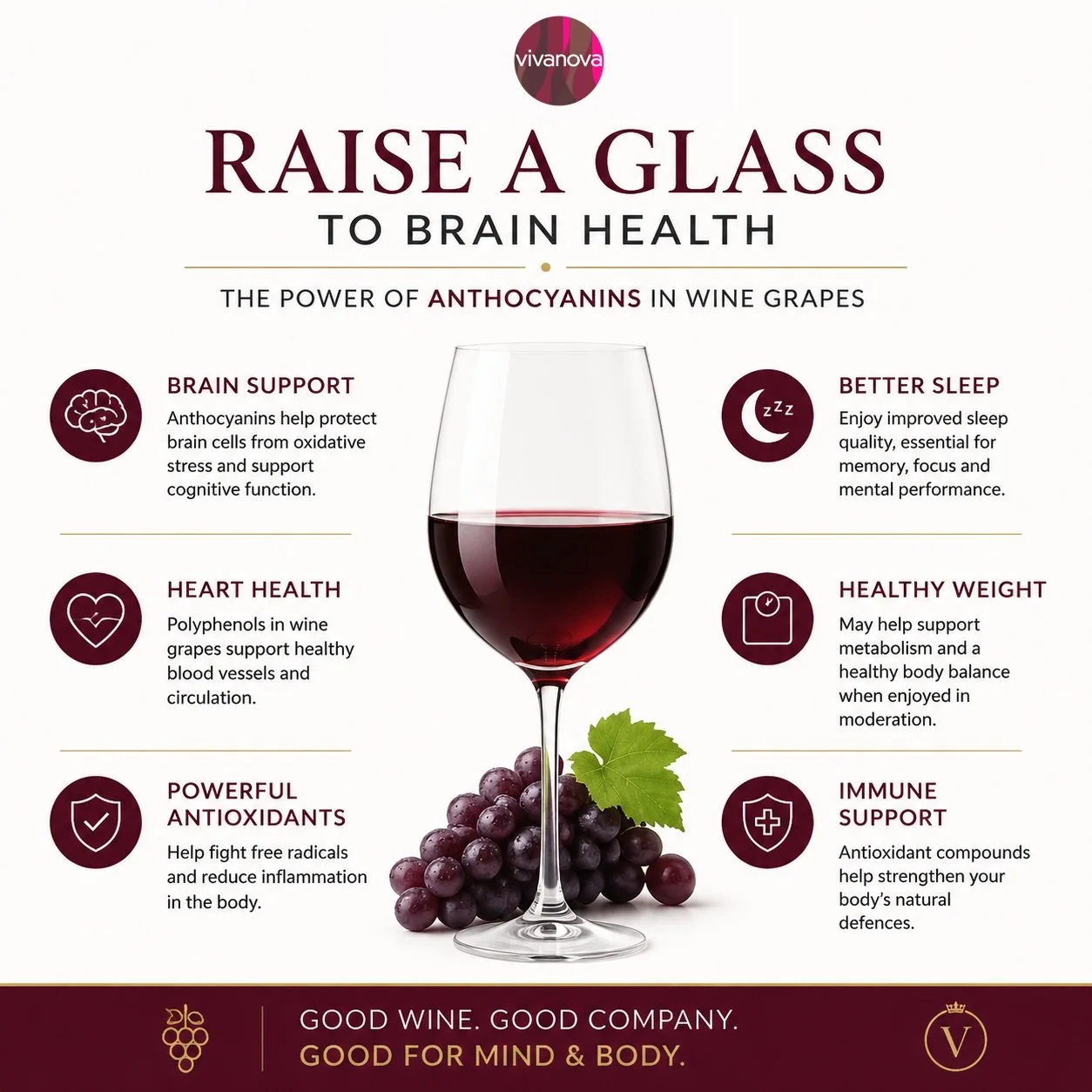 🍇 Raise a Glass to Brain Health: The Power of Anthocyanins in Wine Grapes

Did you know that the same grapes used to craft the world's finest red wines are naturally rich in anthocyanins&mdash;powerful antioxidants that researchers are studying for 