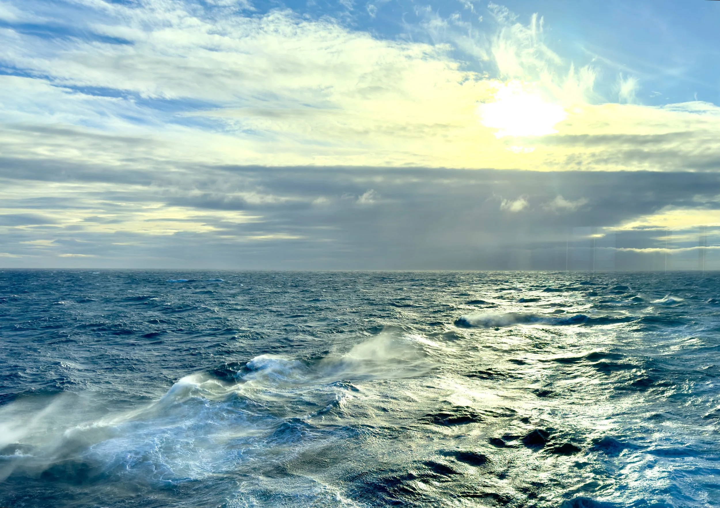 When Control Becomes a Blind Spot: Why Leaders Need to Anticipate Risk