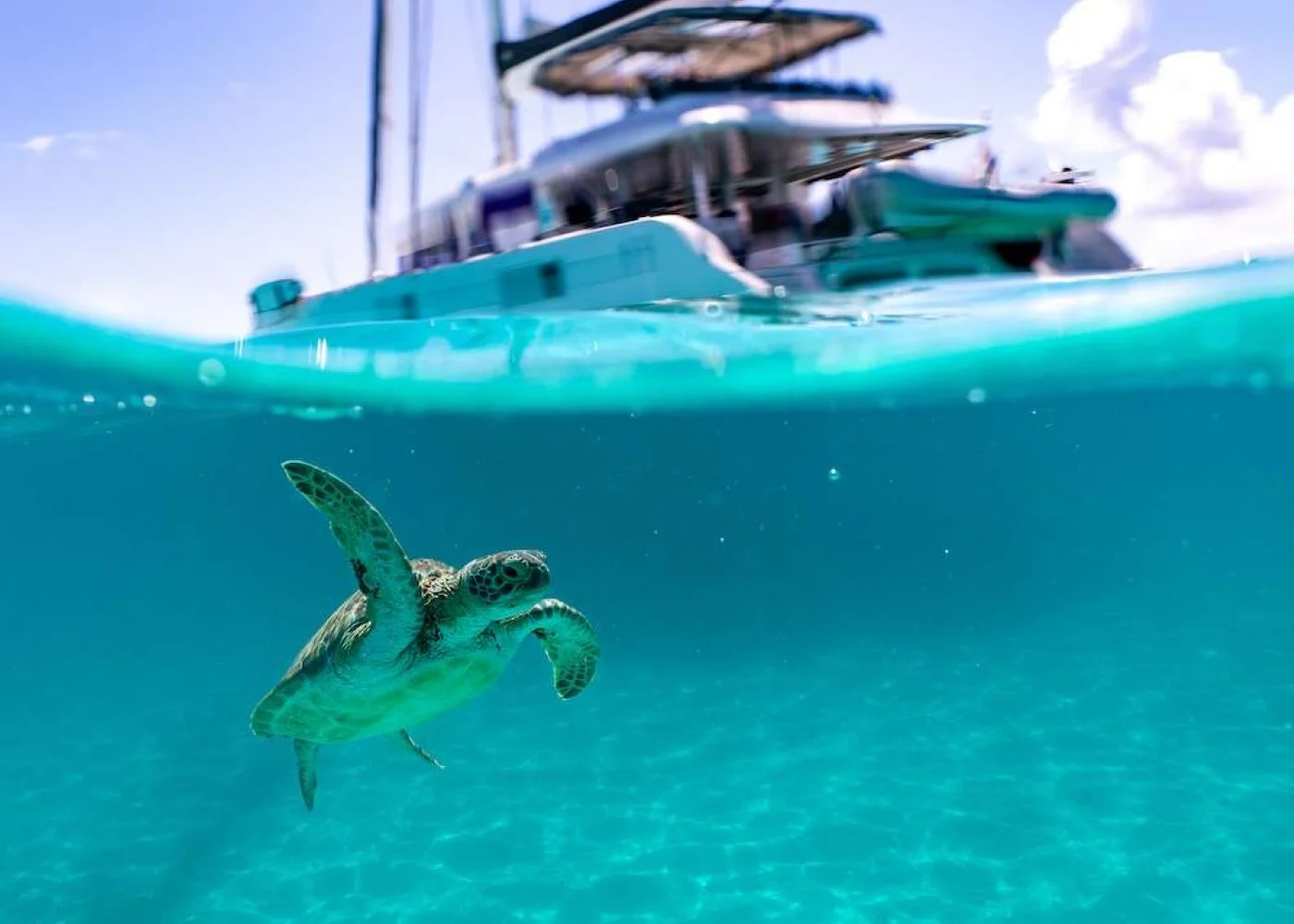 Turtles escort luxury catamaran HUNTRESS.jpg