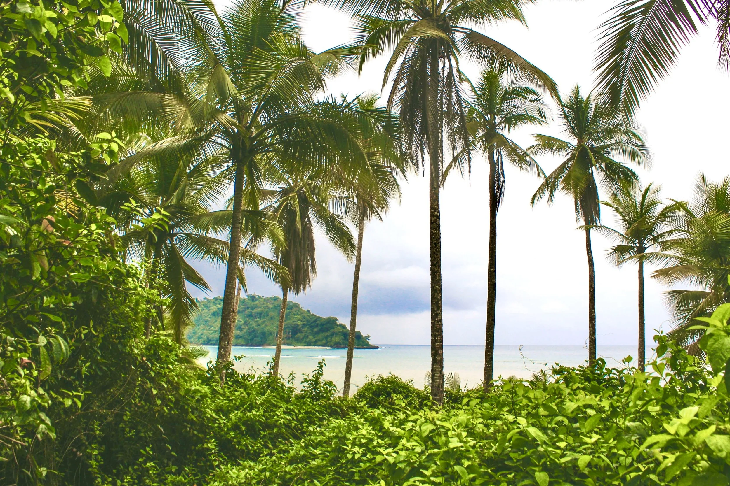 🌴 Trending Partner Article - S&atilde;o Tom&eacute; &amp; Pr&iacute;ncipe: The UNESCO Paradise You&rsquo;ve Probably Never Heard Of

Some destinations are beautiful. Others are still genuinely undiscovered.

S&atilde;o Tom&eacute; and Pr&iacute;ncip