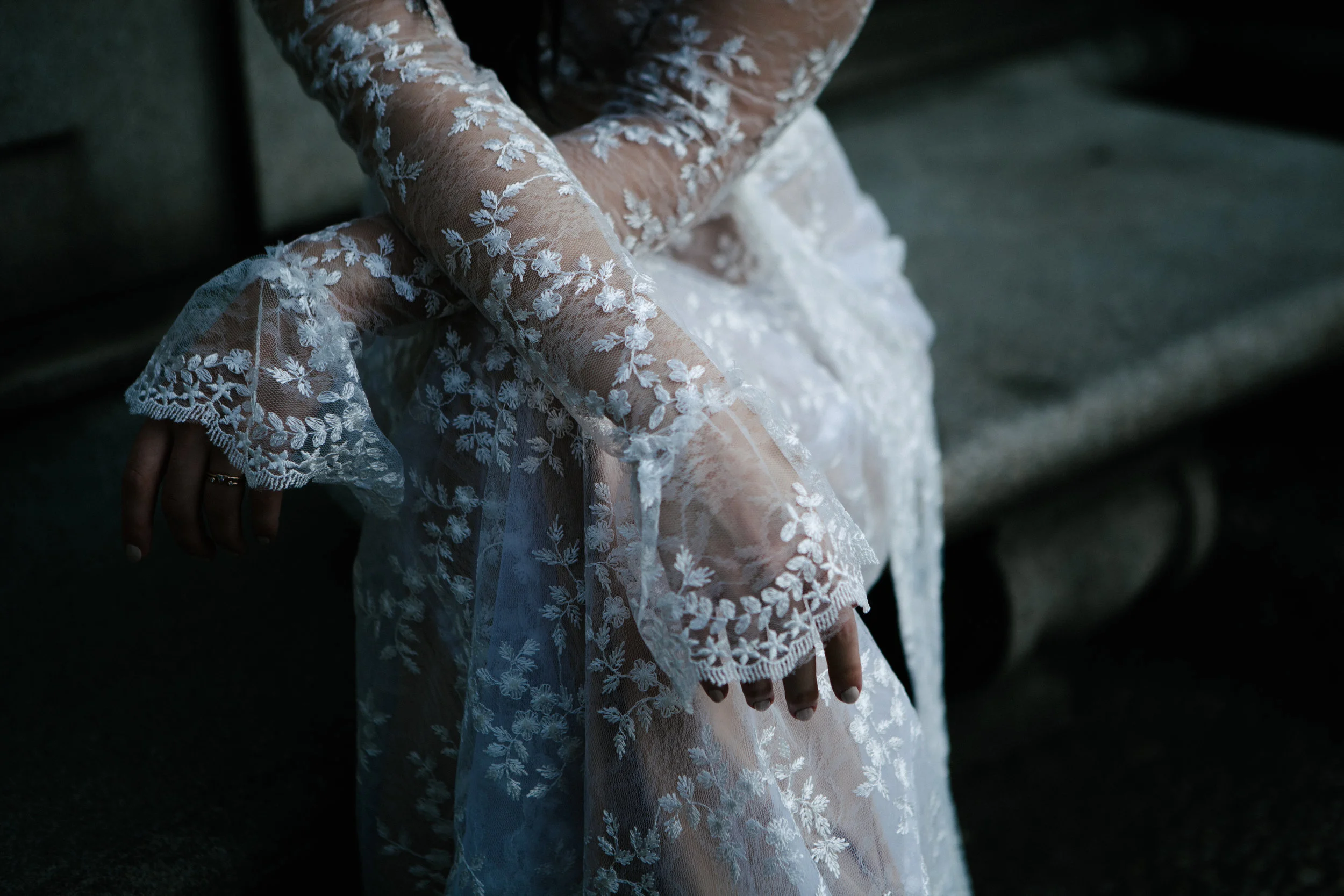 CYGNUS SLEEVE.jpg
