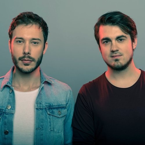 VICETONE