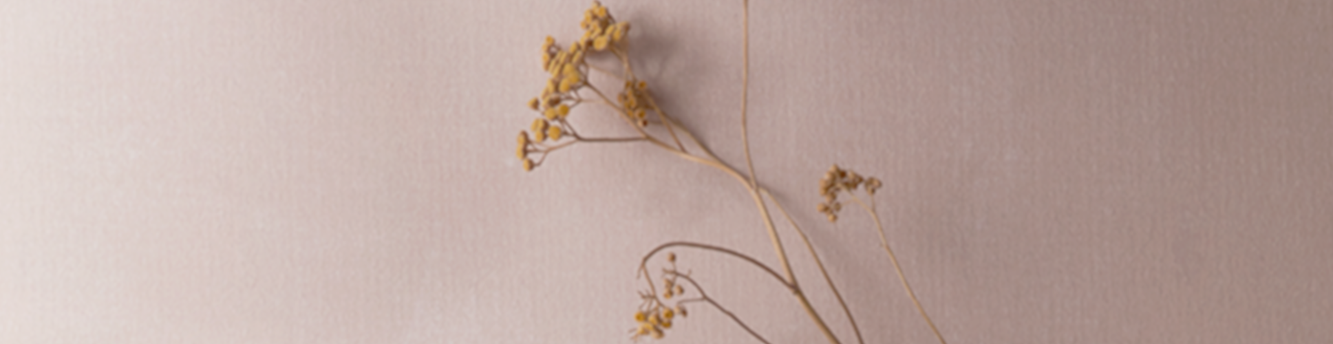 GoodChemistry_Lifestyle_C+C+all 3.png