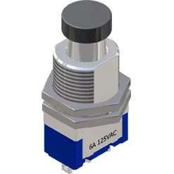 DPDT Maintained Pushbutton