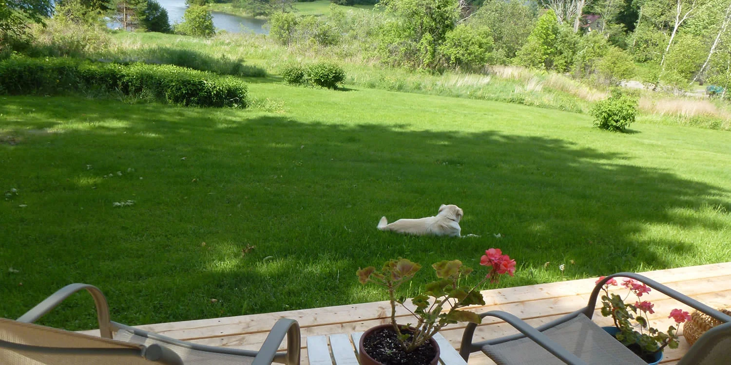 Loonsong rental house rates in Craftsbury vt