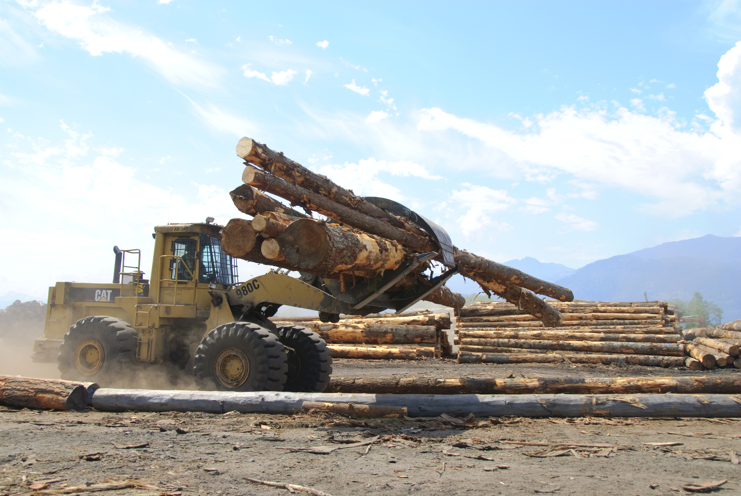   Western Canadian Timber Products Ltd  