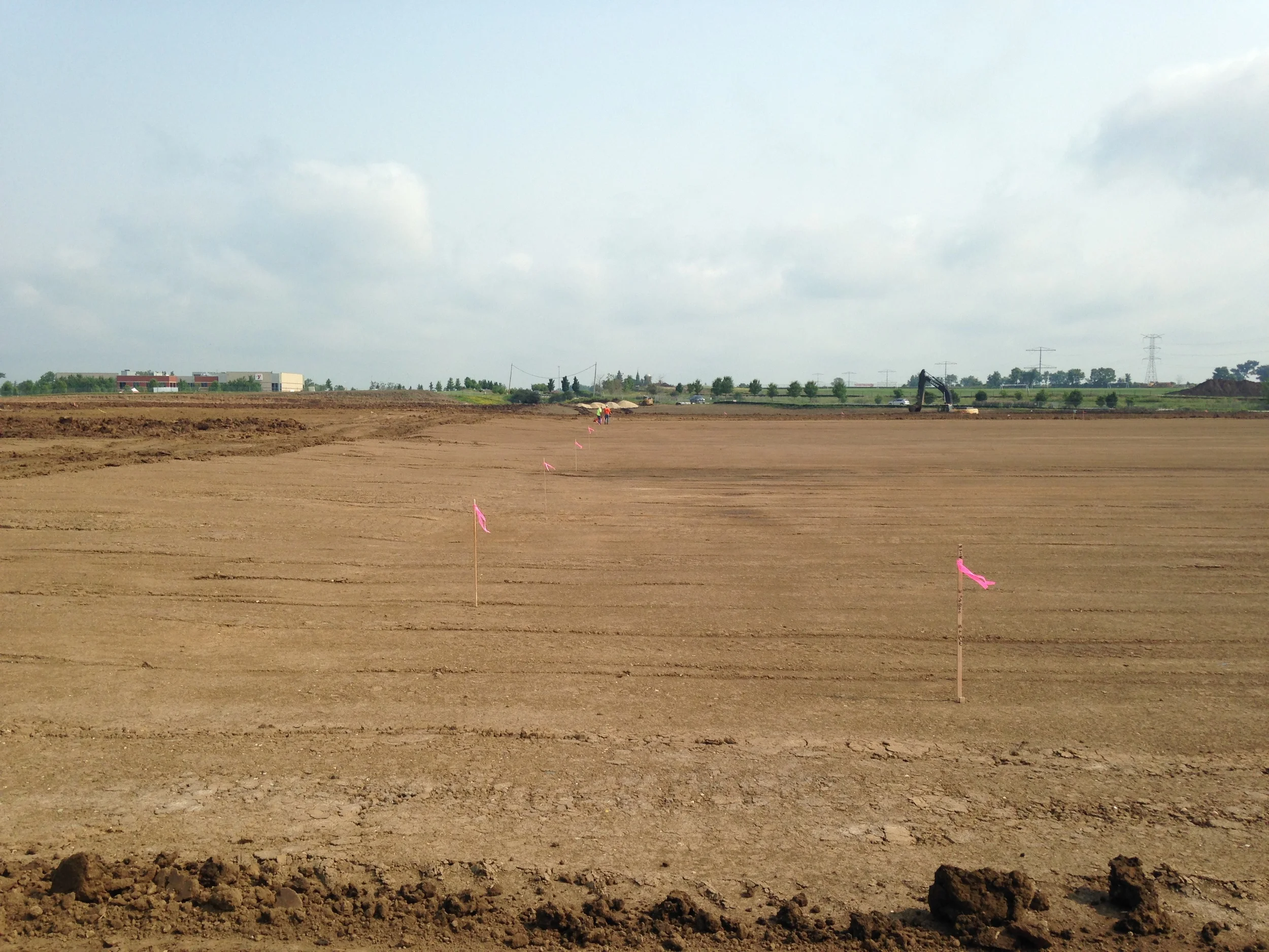 Field E