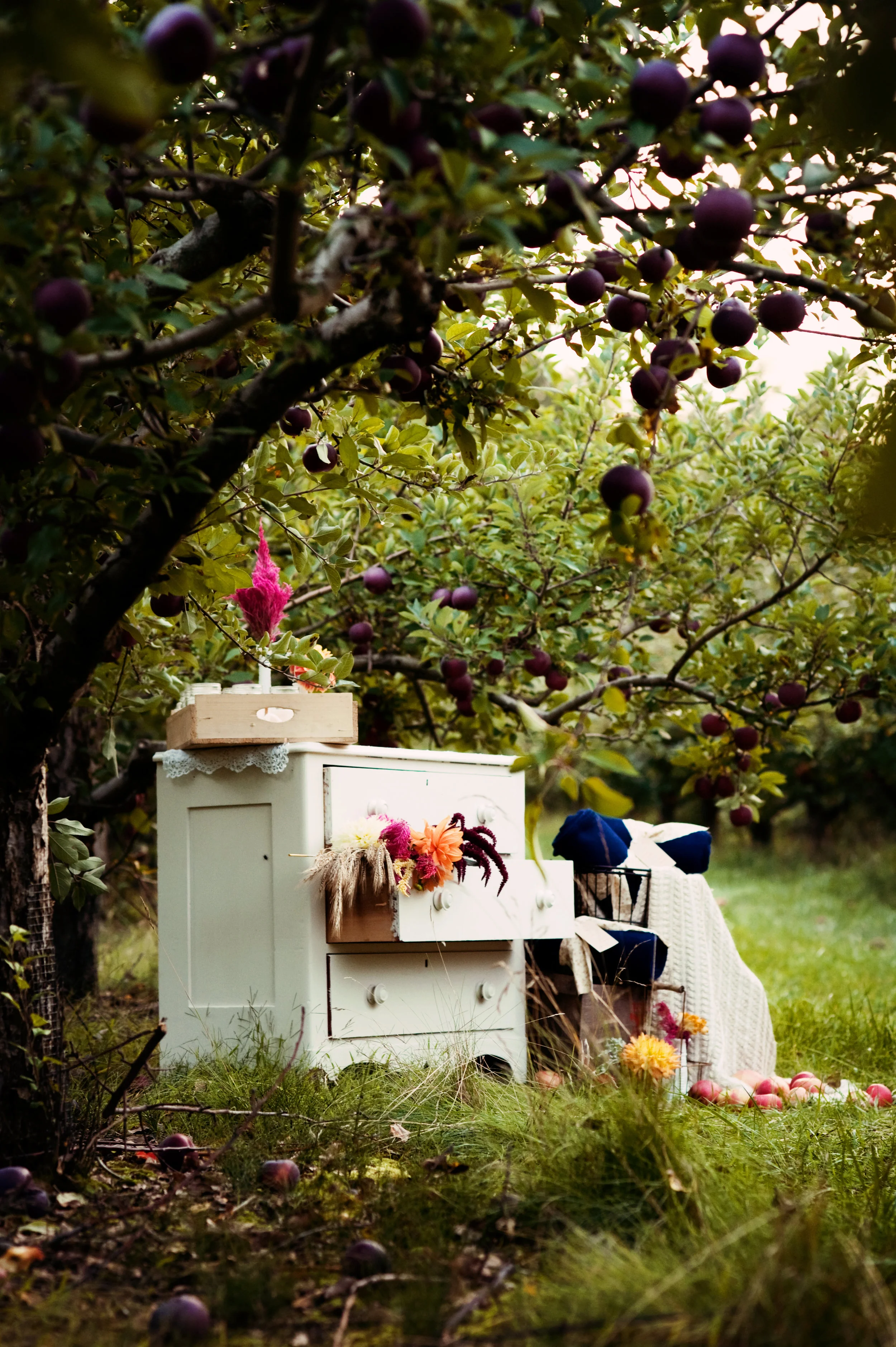  The white dresser anchored the edge of the dinner and held a beautiful display of flowers from the farm as well as the dessert and a pitcher of fresh pressed apple cider. 