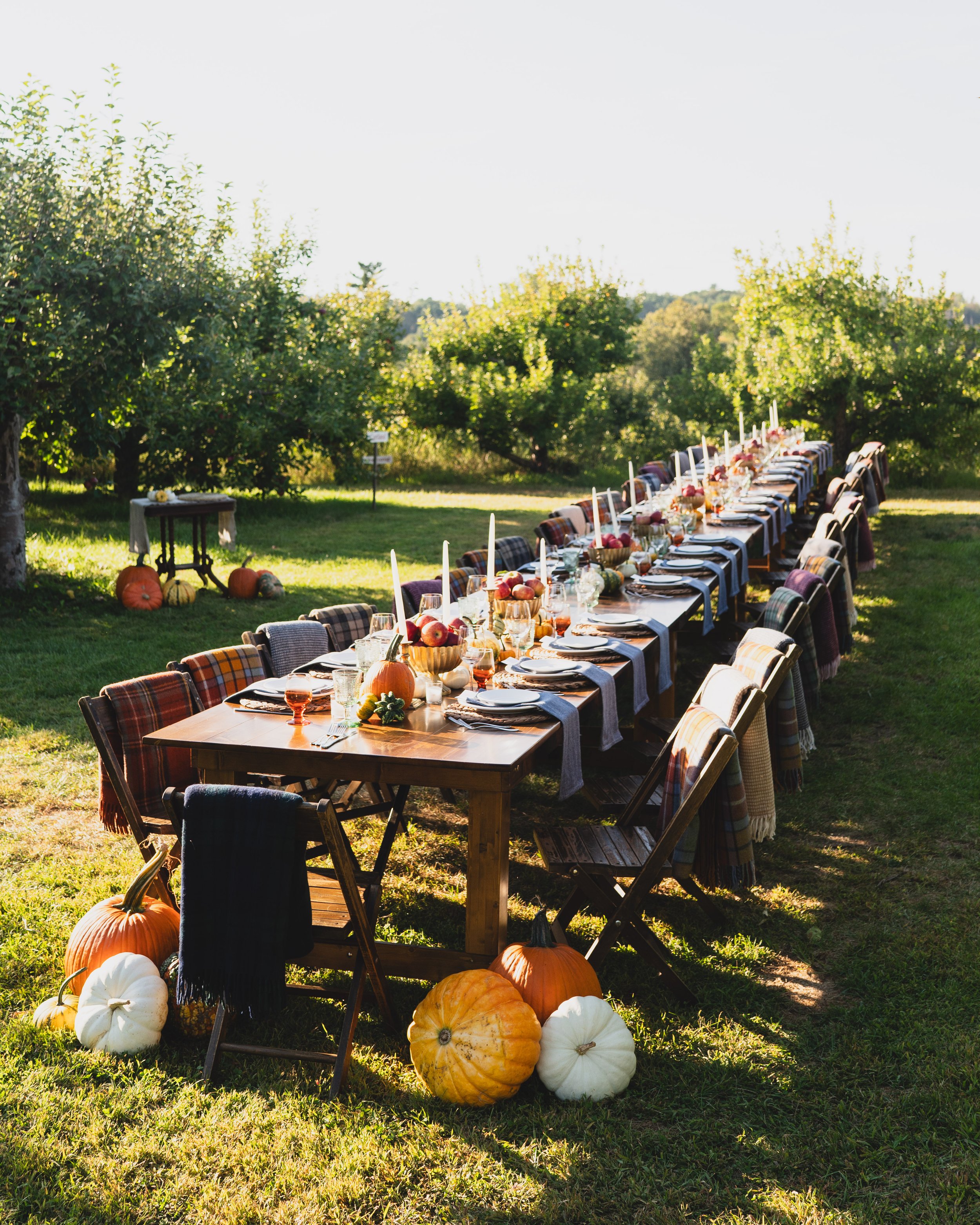 Harvest Dinner in the Orchard