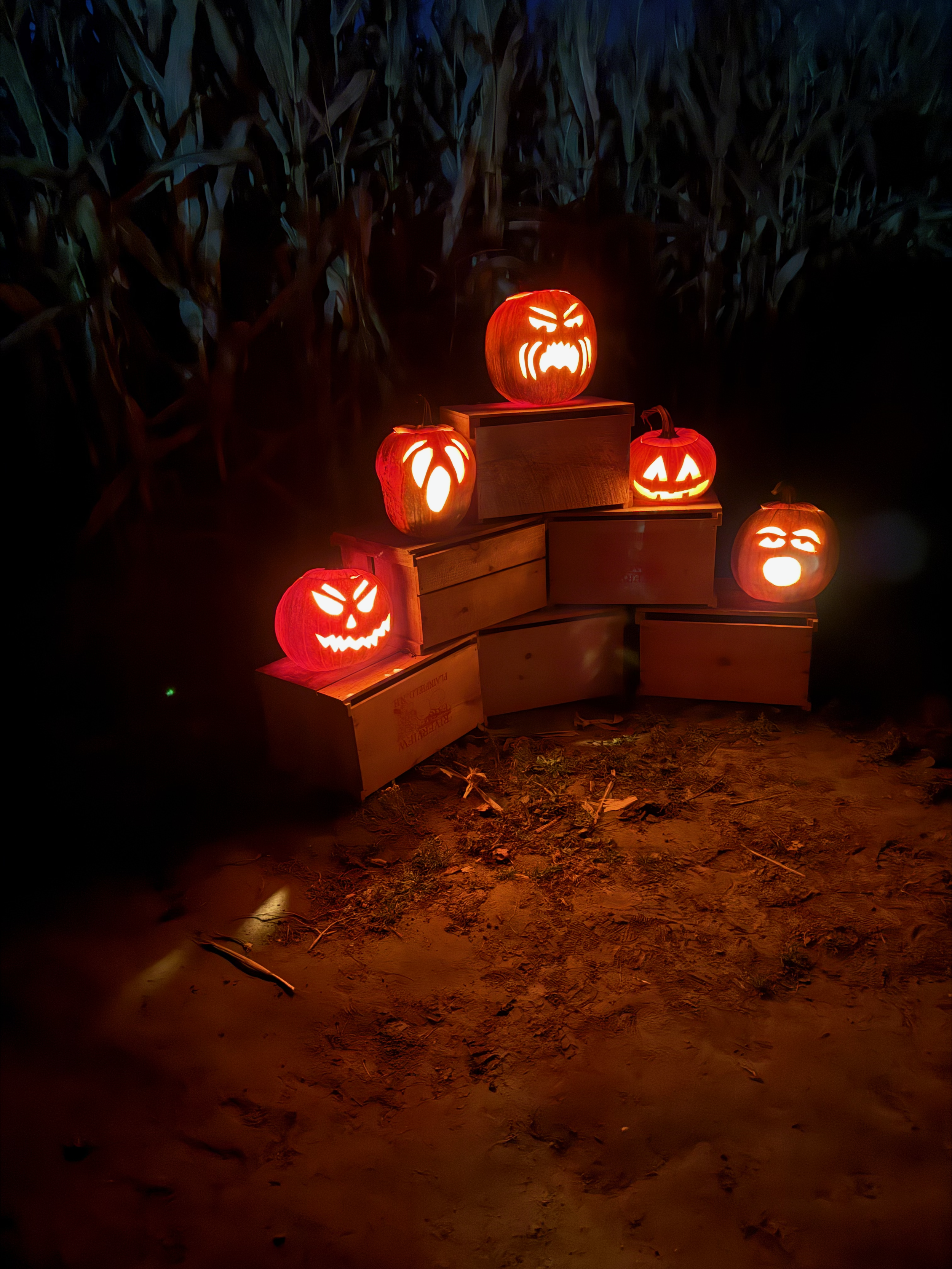 Haunted Corn Maze