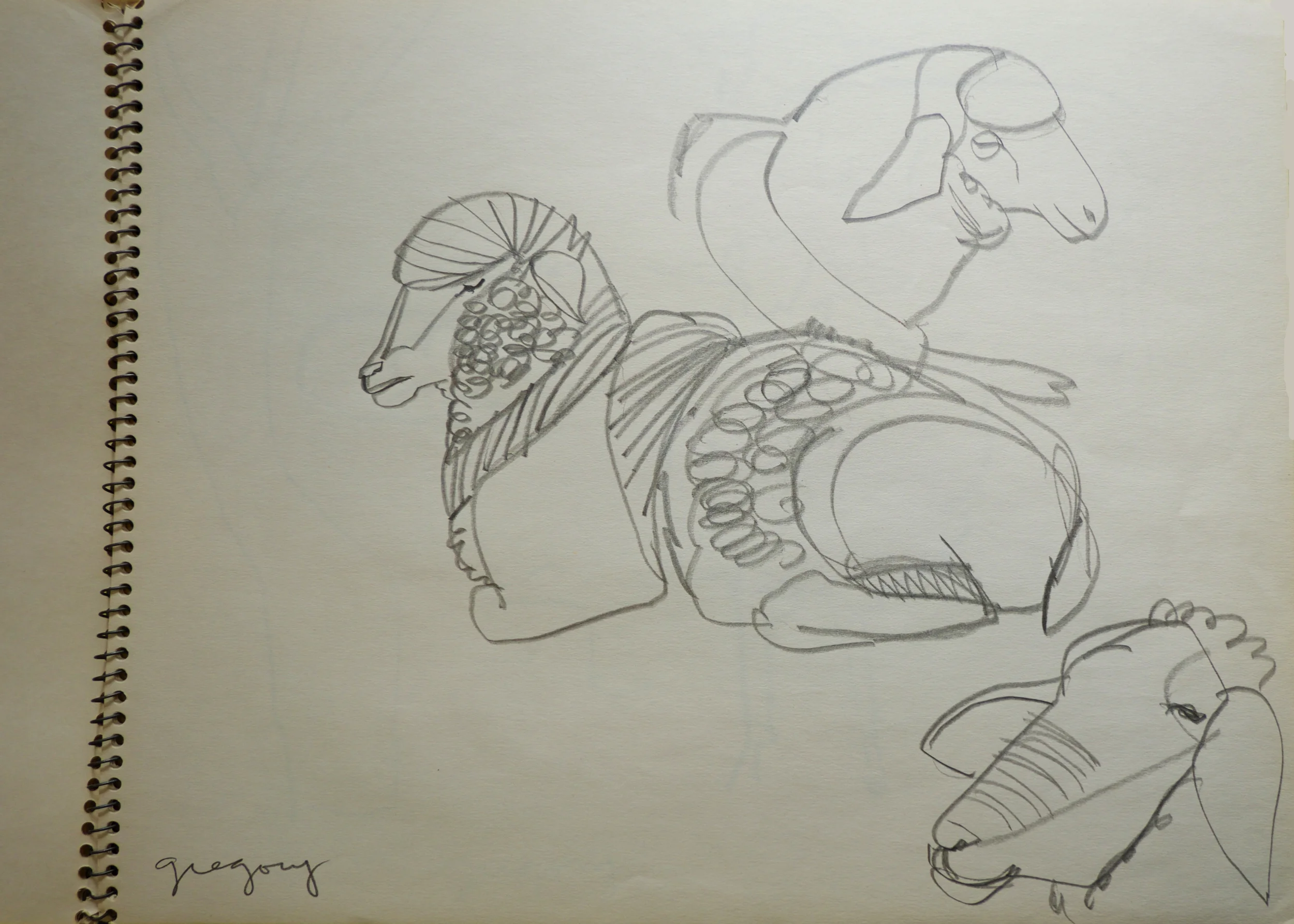 Studies of Sheep