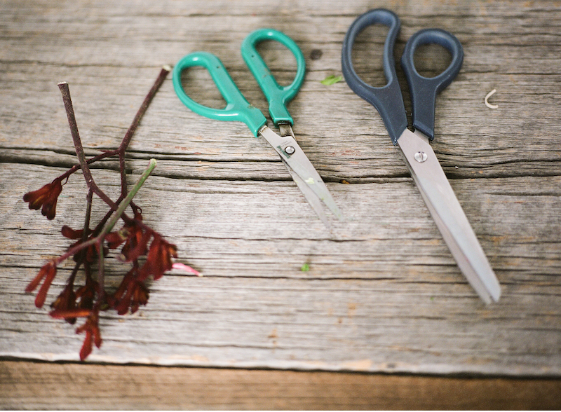 My very favorite green snips (circa 2002) have been with me since my Chelsea, NYC days. That’s a pretty long life for a cheap pair of flower scissors!