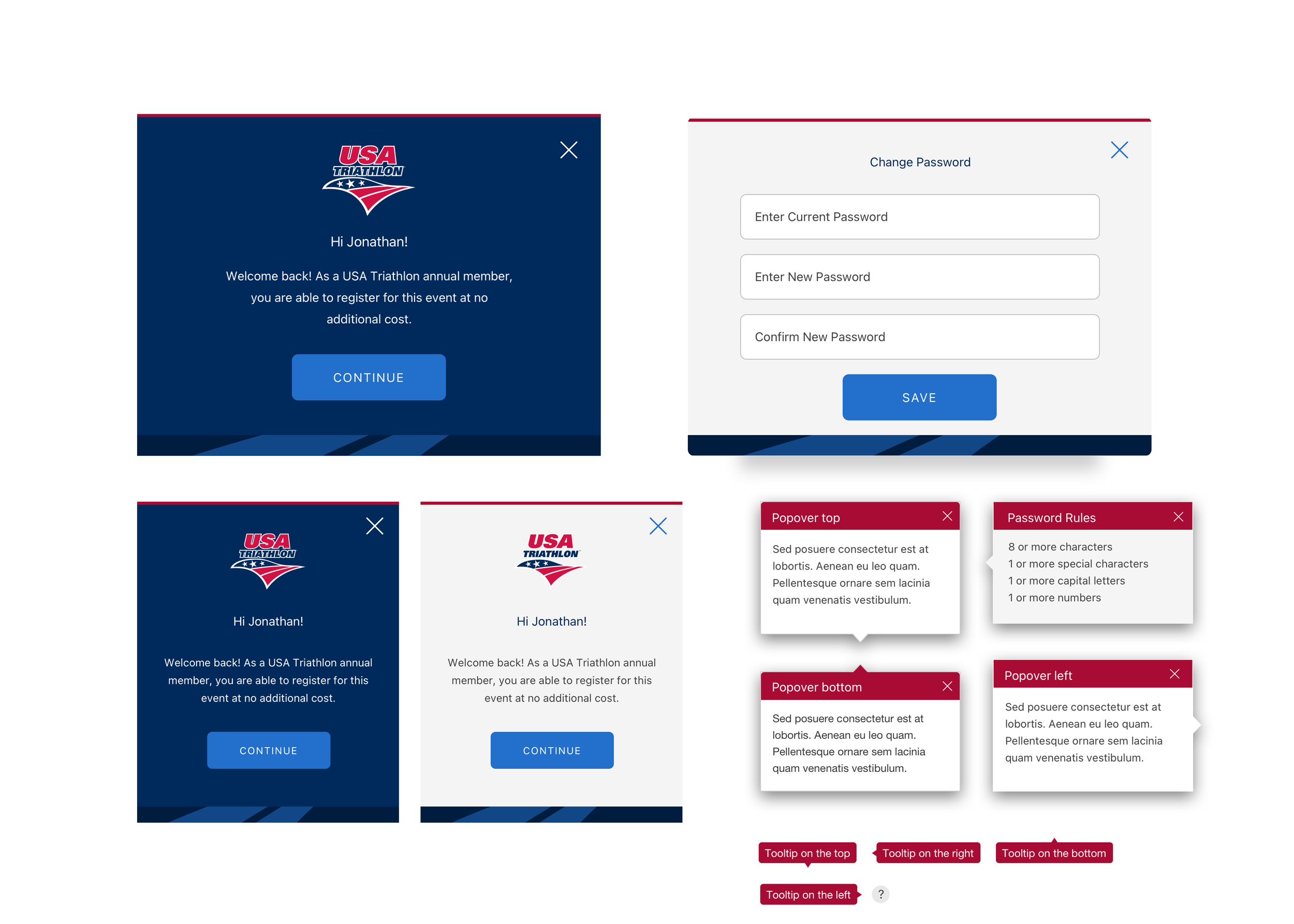  Design system components of Modal windows for the USA Triathlon Dashboard 