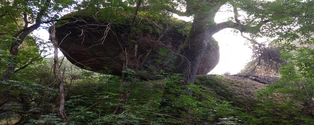 耶穌愛你! 你知道 ? 因有聖經告訴你 :