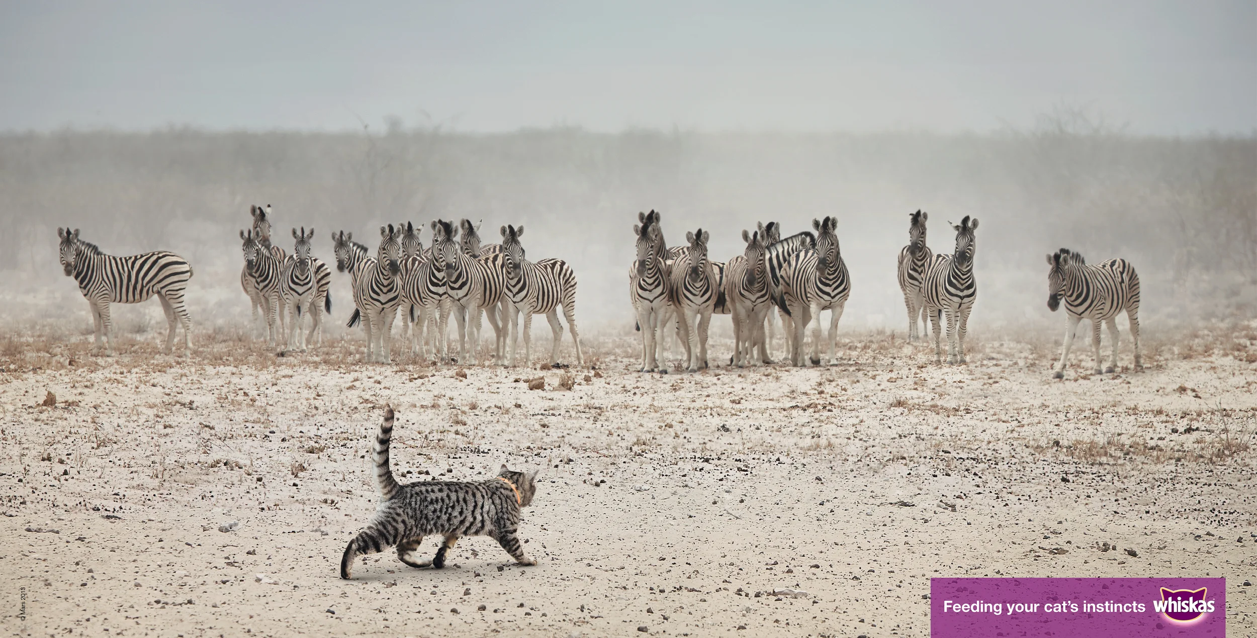 Whiskas_Outdoor_Zebra.jpg
