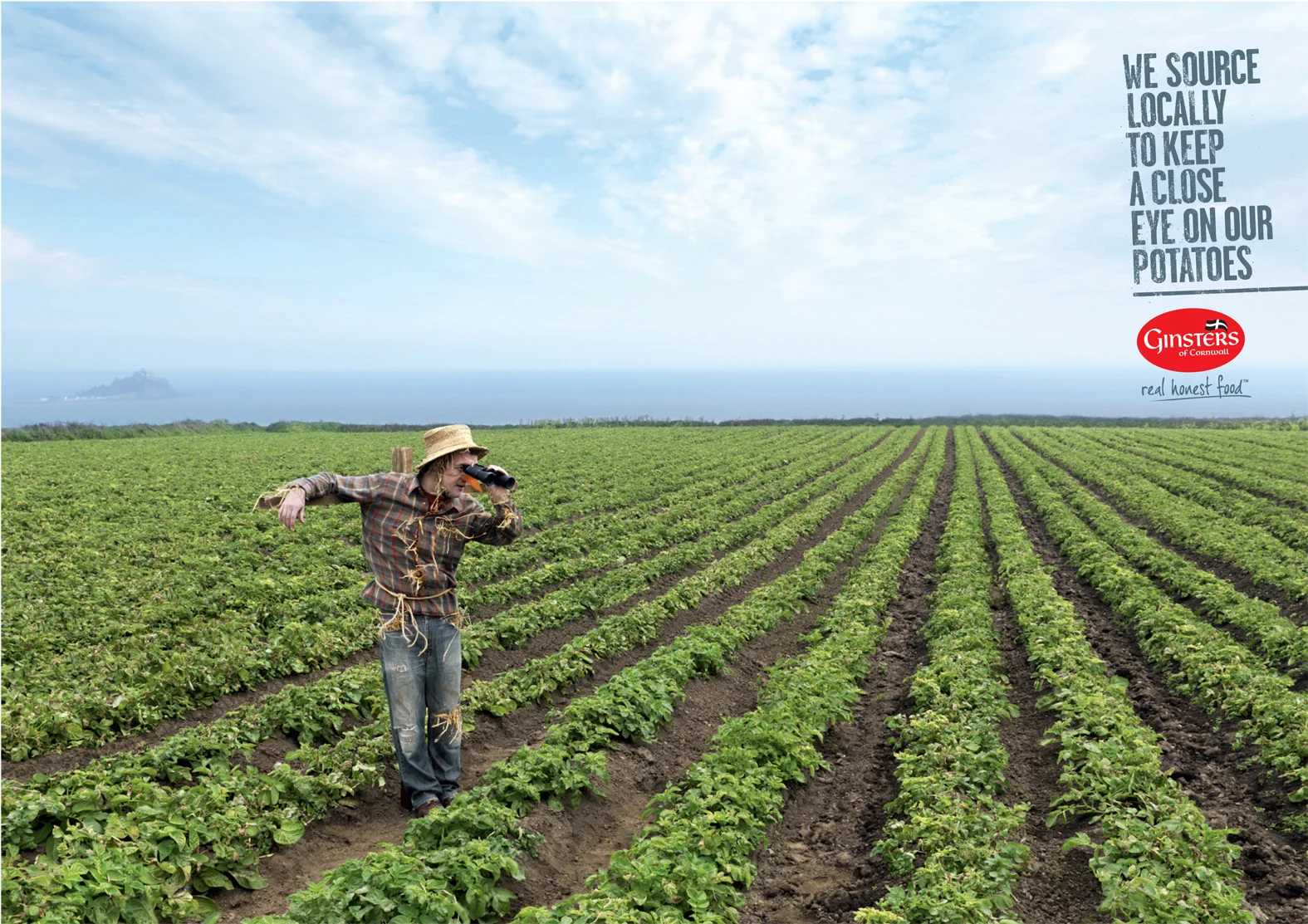 Ginsters DPS Scarecrow.jpg