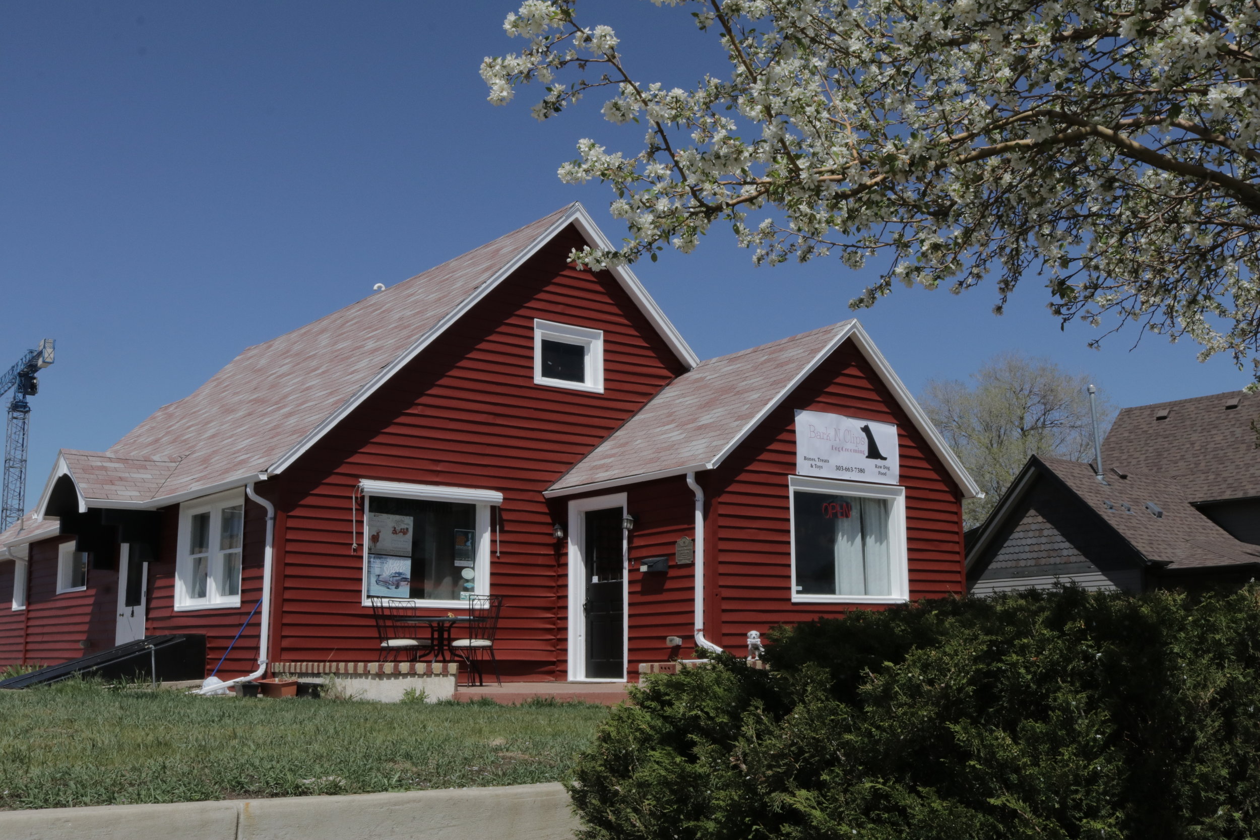bark and brushes mobile grooming