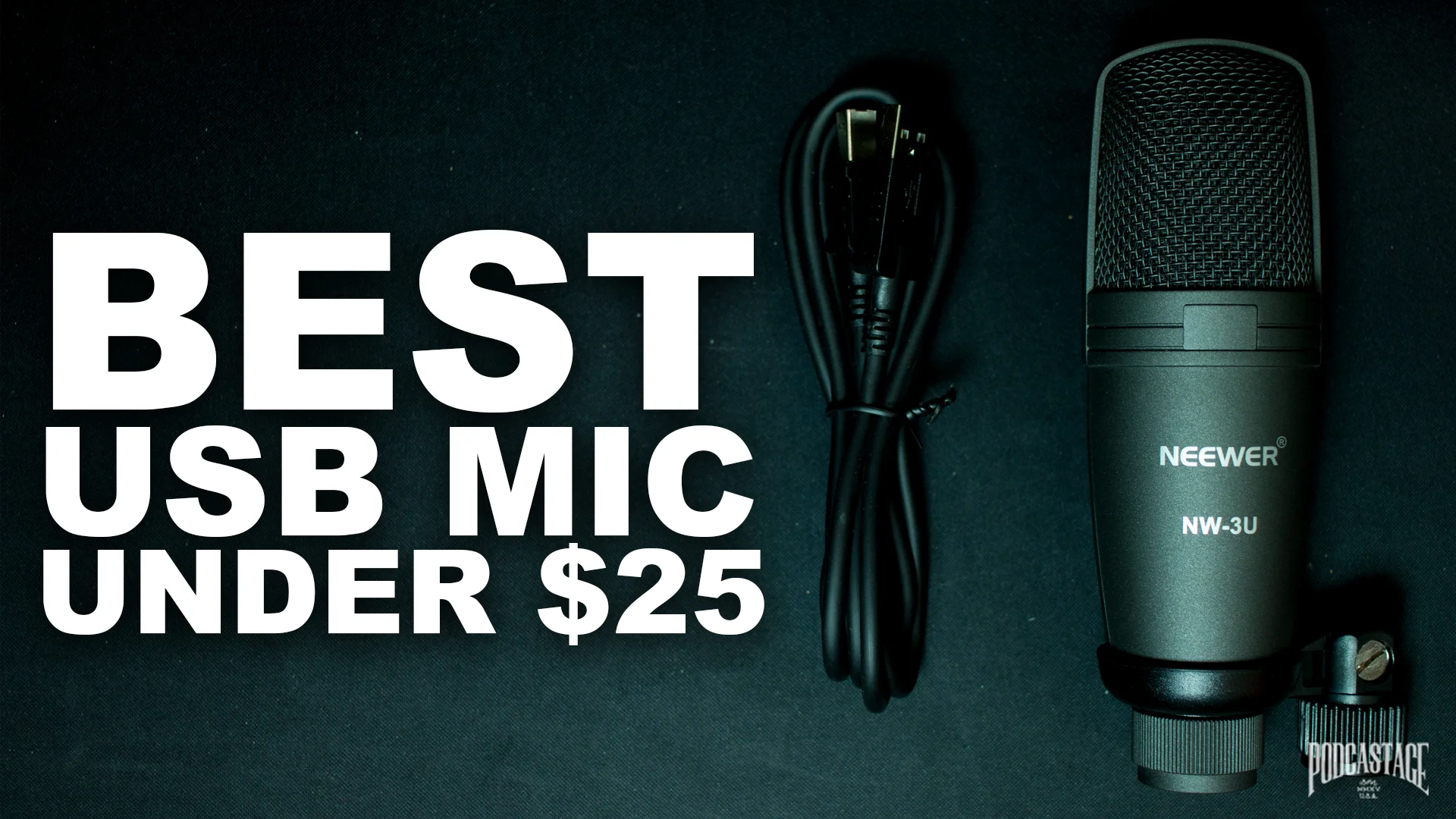 Neewer NW-3U USB Condenser Mic Review
