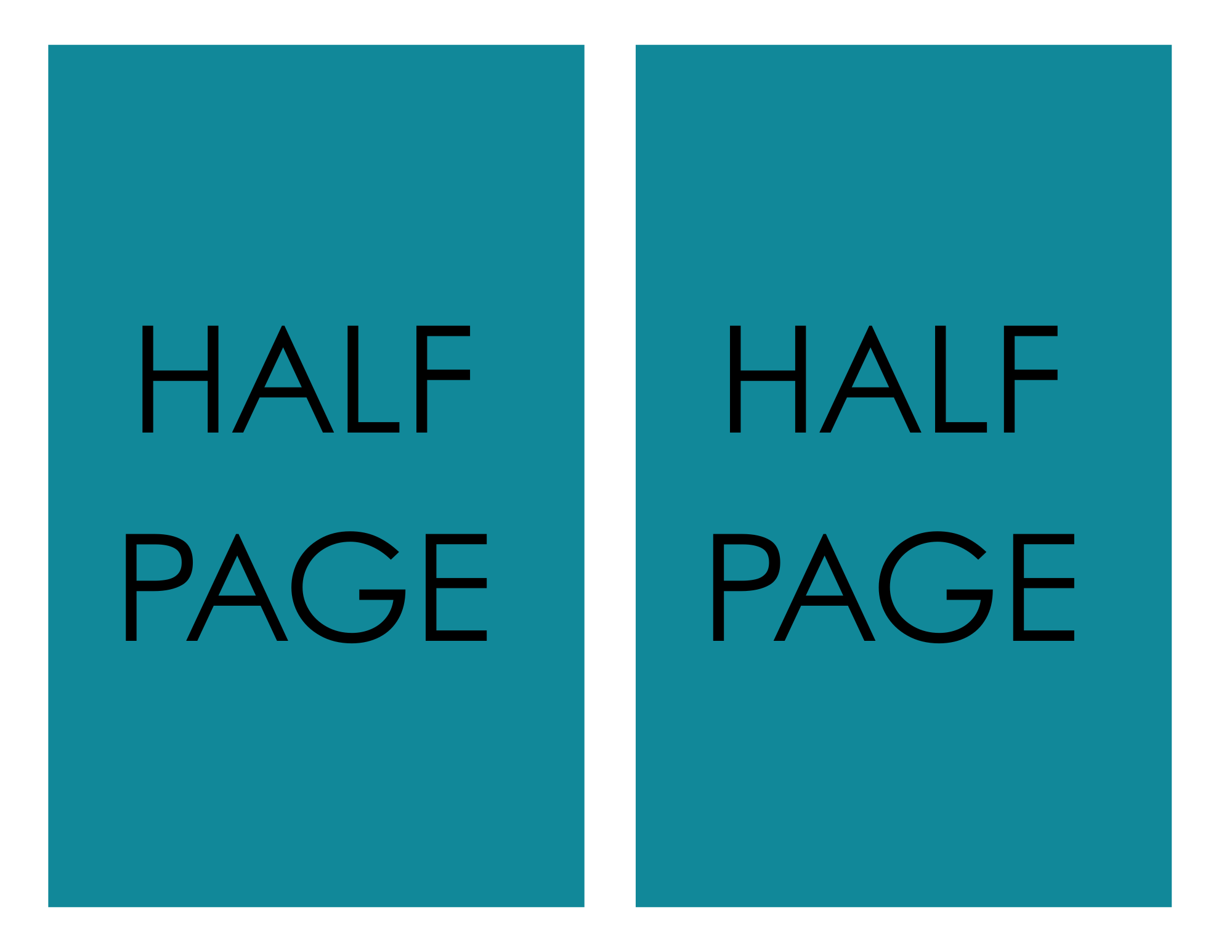 HALF PAGE SLIDE 2025.png