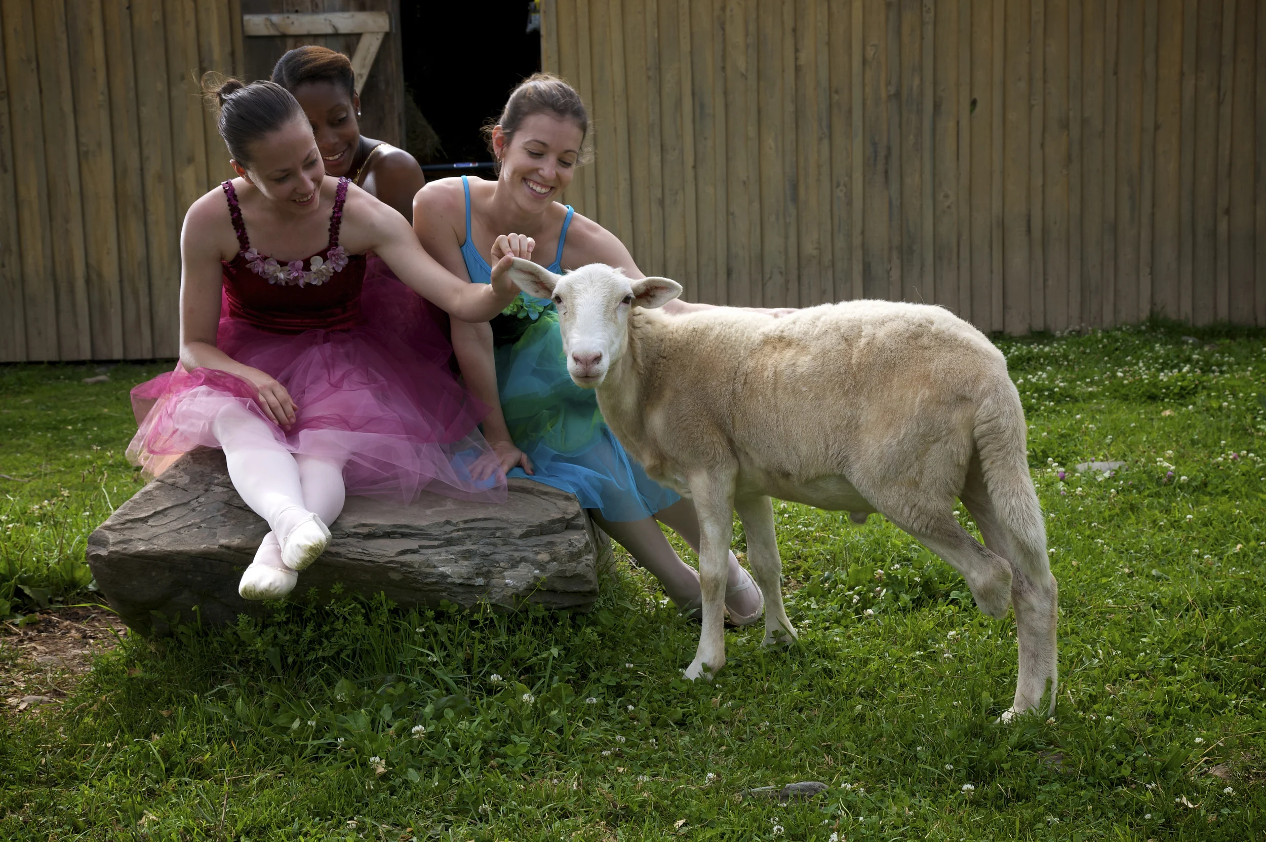 Giving Thanks: Expressing Gratitude through Poetry & Dance on November 15