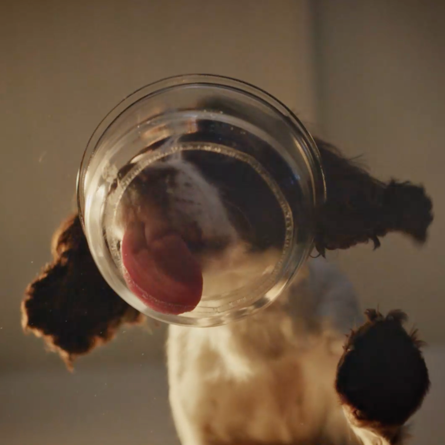 Screenshot 2026-02-19 at 14.59.45.png