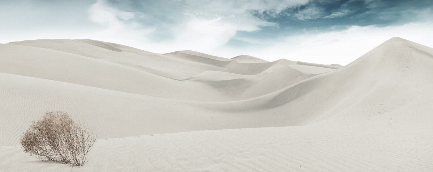 Desert-Panorama.jpg