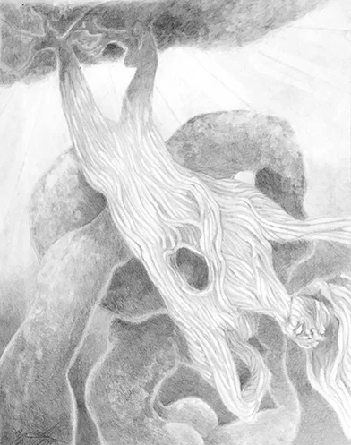 tree.jpg