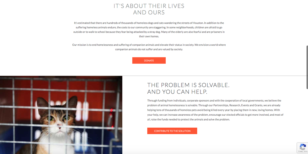 Screen Shot 2019-11-23 at 3.38.52 PM.png