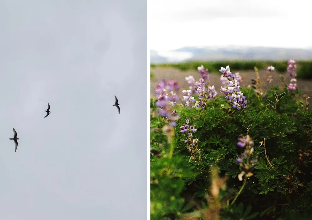 iceland-elopement-photographer-024.jpg