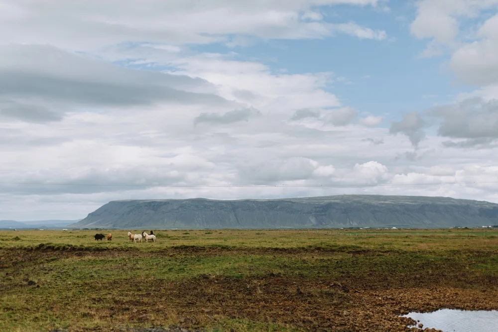 iceland-elopement-photographer-088.jpg