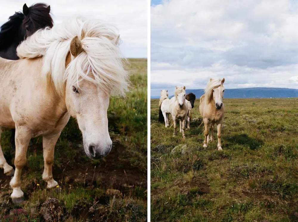 iceland-elopement-photographer-093.jpg