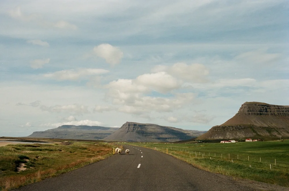 iceland-elopement-photographer-145.jpg