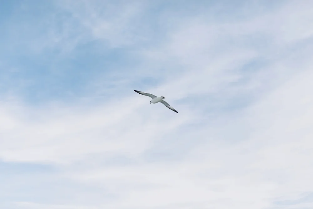 iceland-elopement-photographer-164.jpg