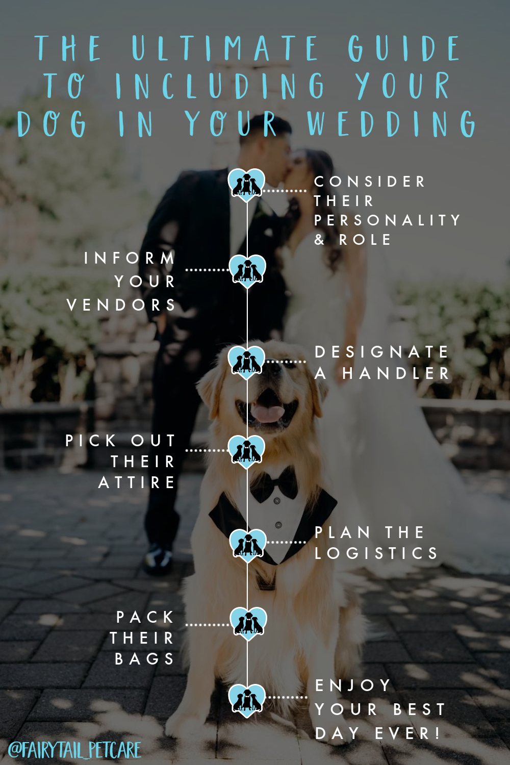 guide to include dog in wedding