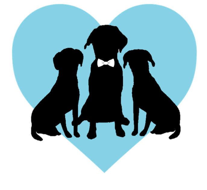 Transparent Logo Without Name.png