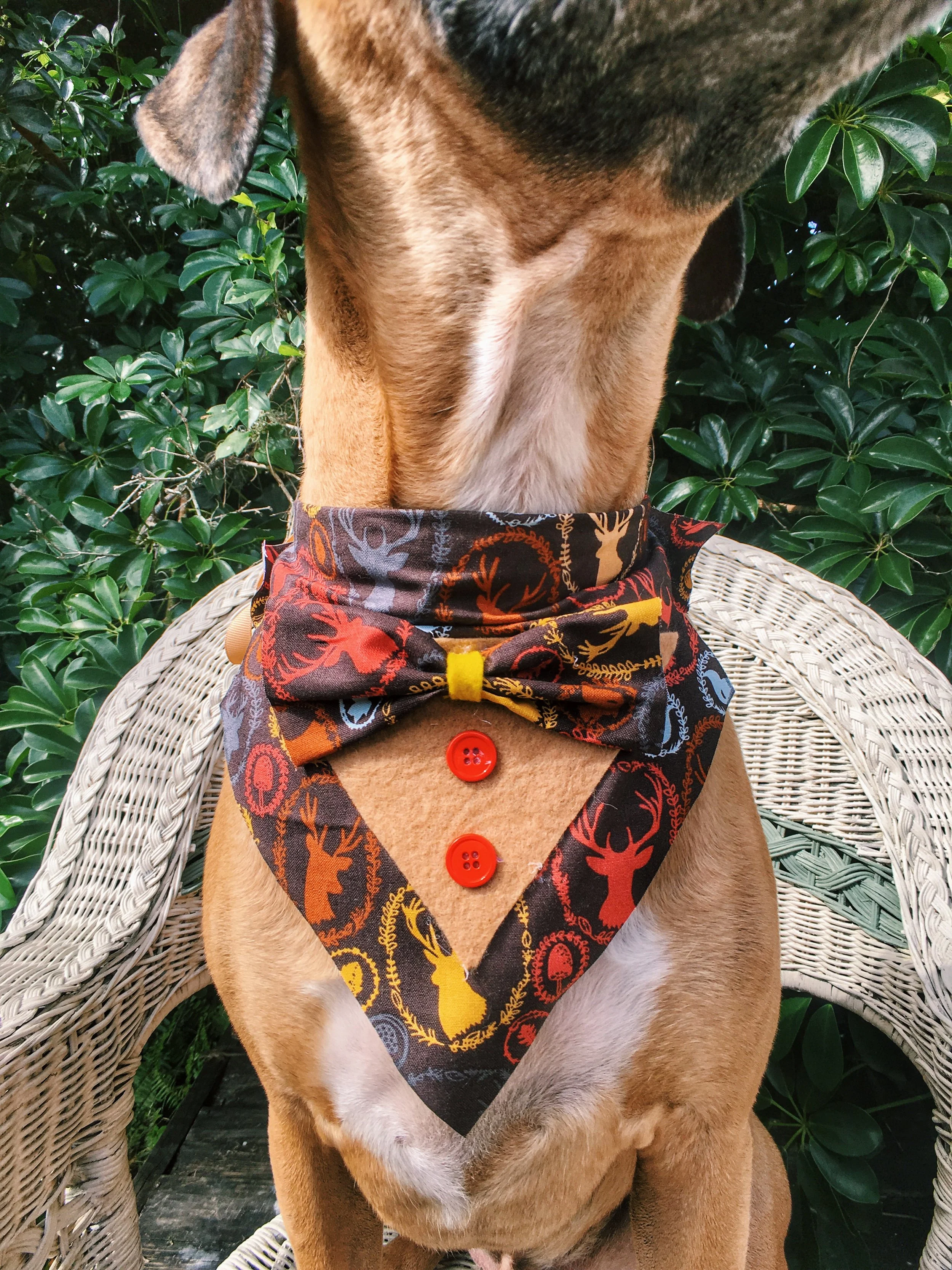 dog_bandana