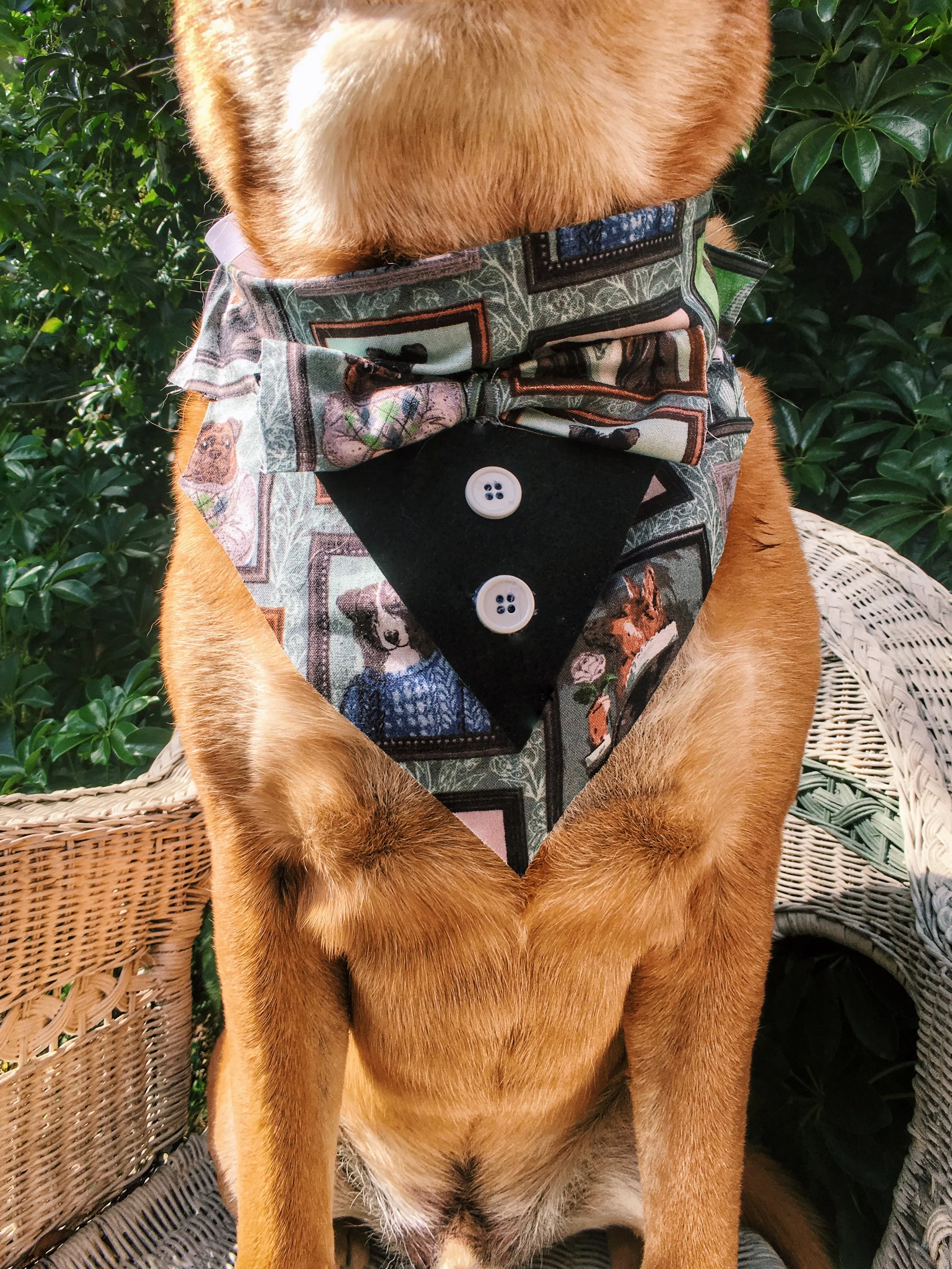 fancy_dog_bandana