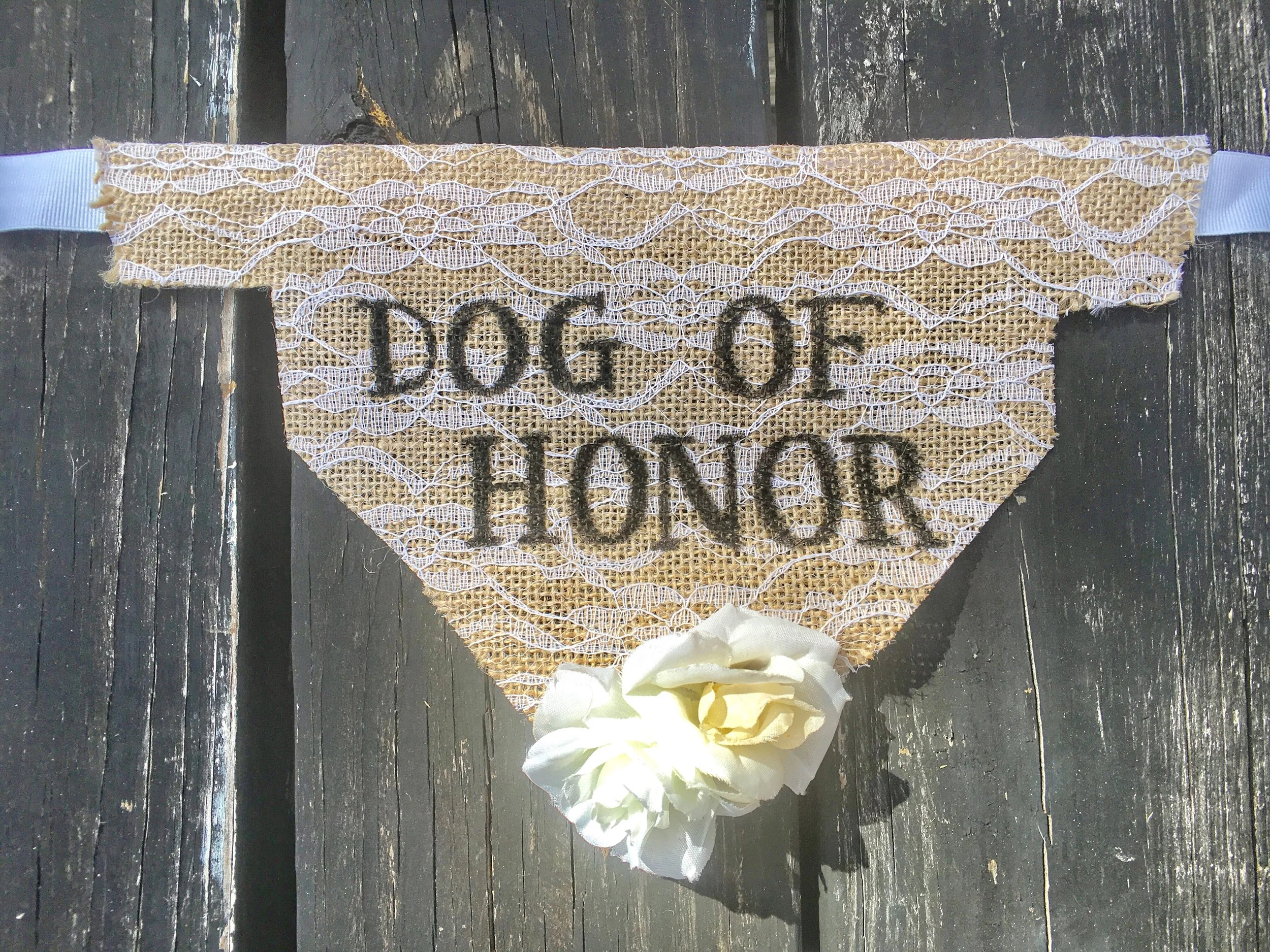 dog_in_wedding