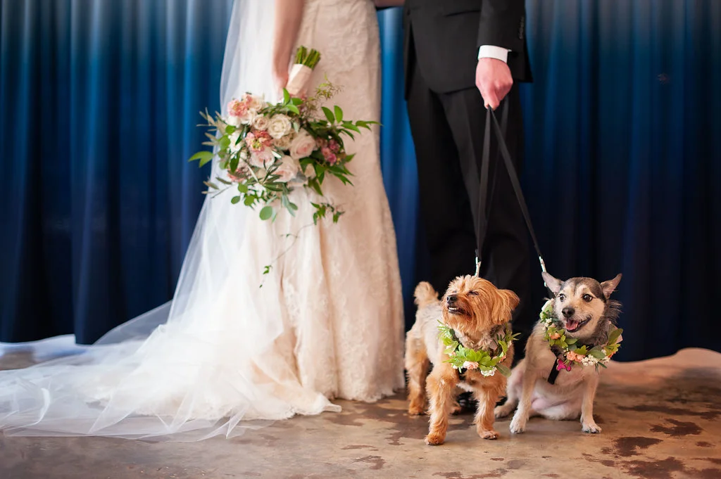 Photo by Stephanie A Smith Photography