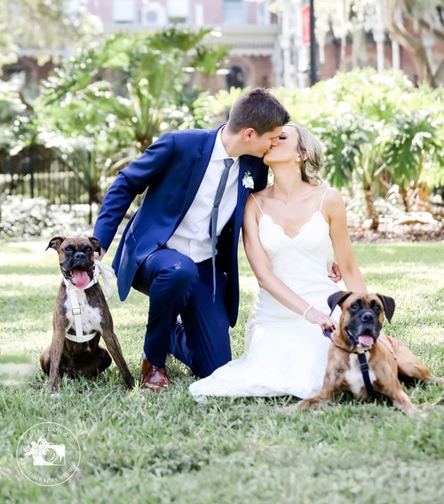 dogs-in-wedding.jpeg