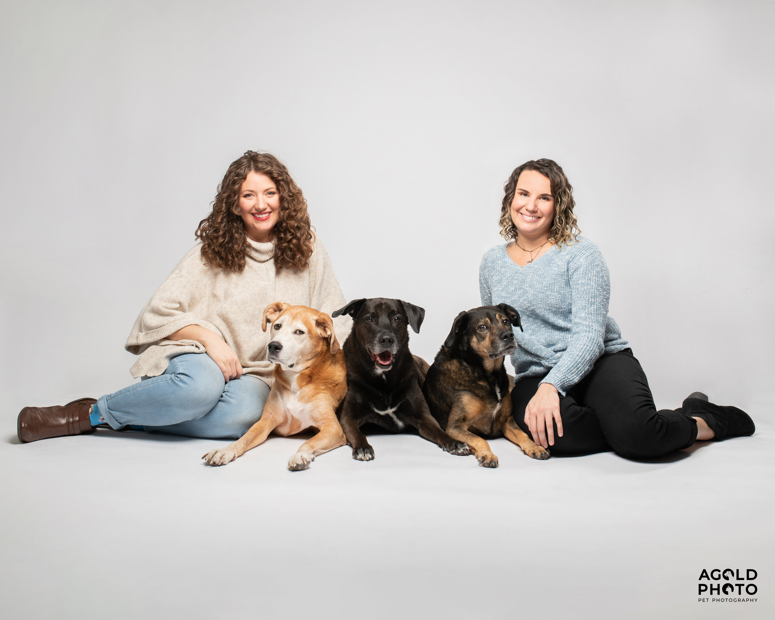 We Did Our Best to Find the Pawsitivity in 2020