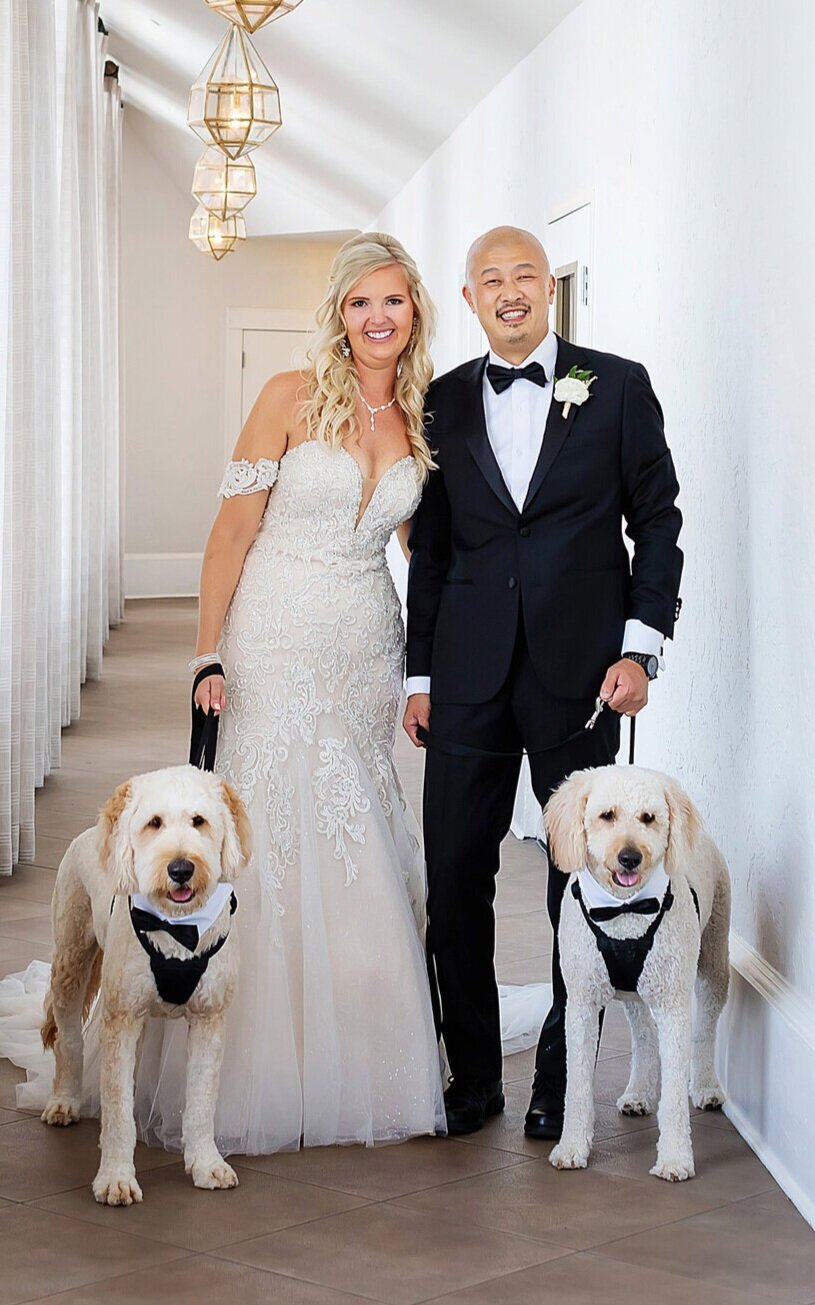 Pet Friendly Photographers: Limelight Photography