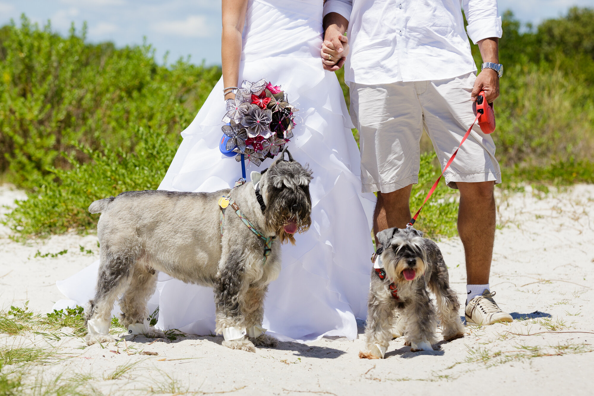 2_doga_in_wedding_ceremony