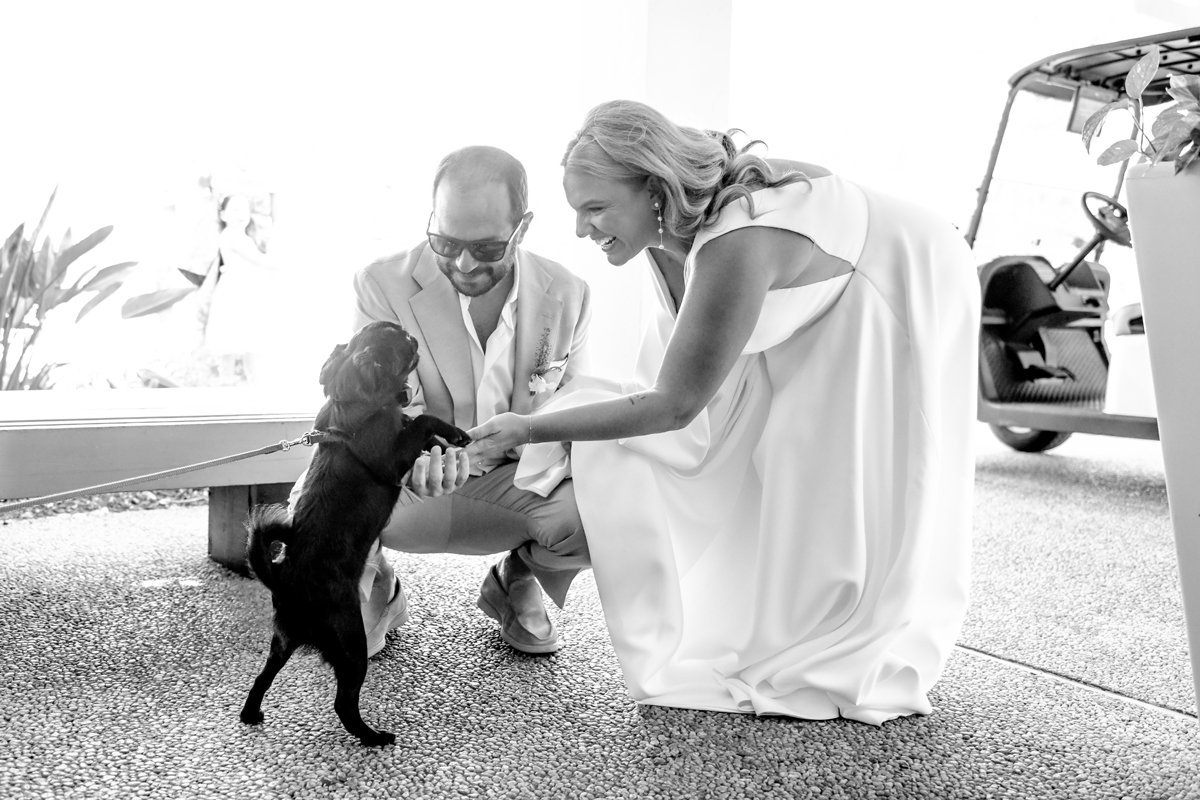 Top Wedding Trend of 2026: Authenticity—and Why Your Dog Belongs in Your Big Day