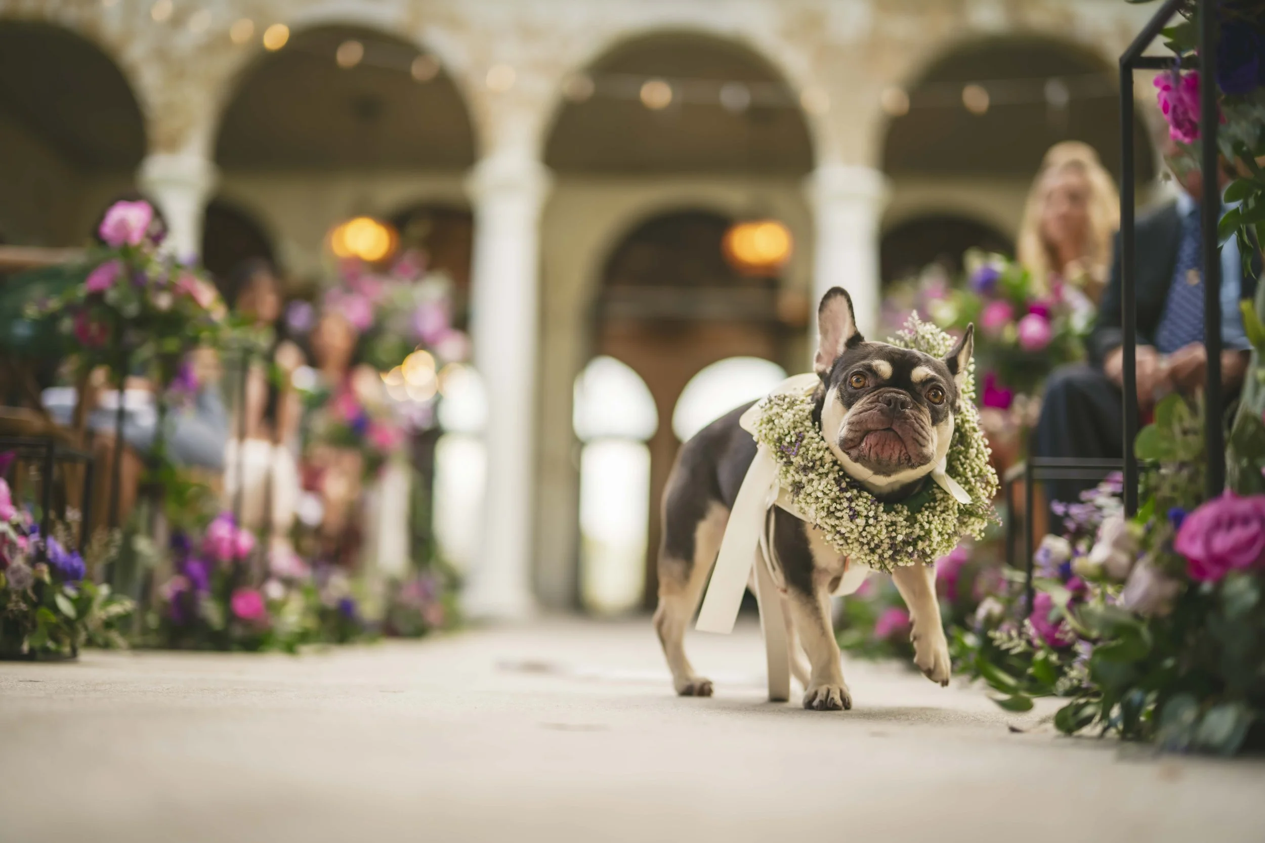 Colorful Wedding at Bella Cosa with Penelope the Frenchie