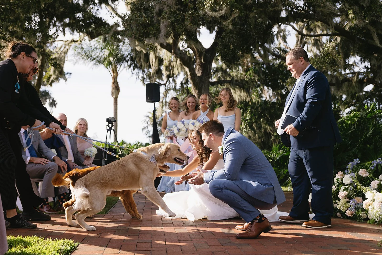 golden retriever wedding ceremony