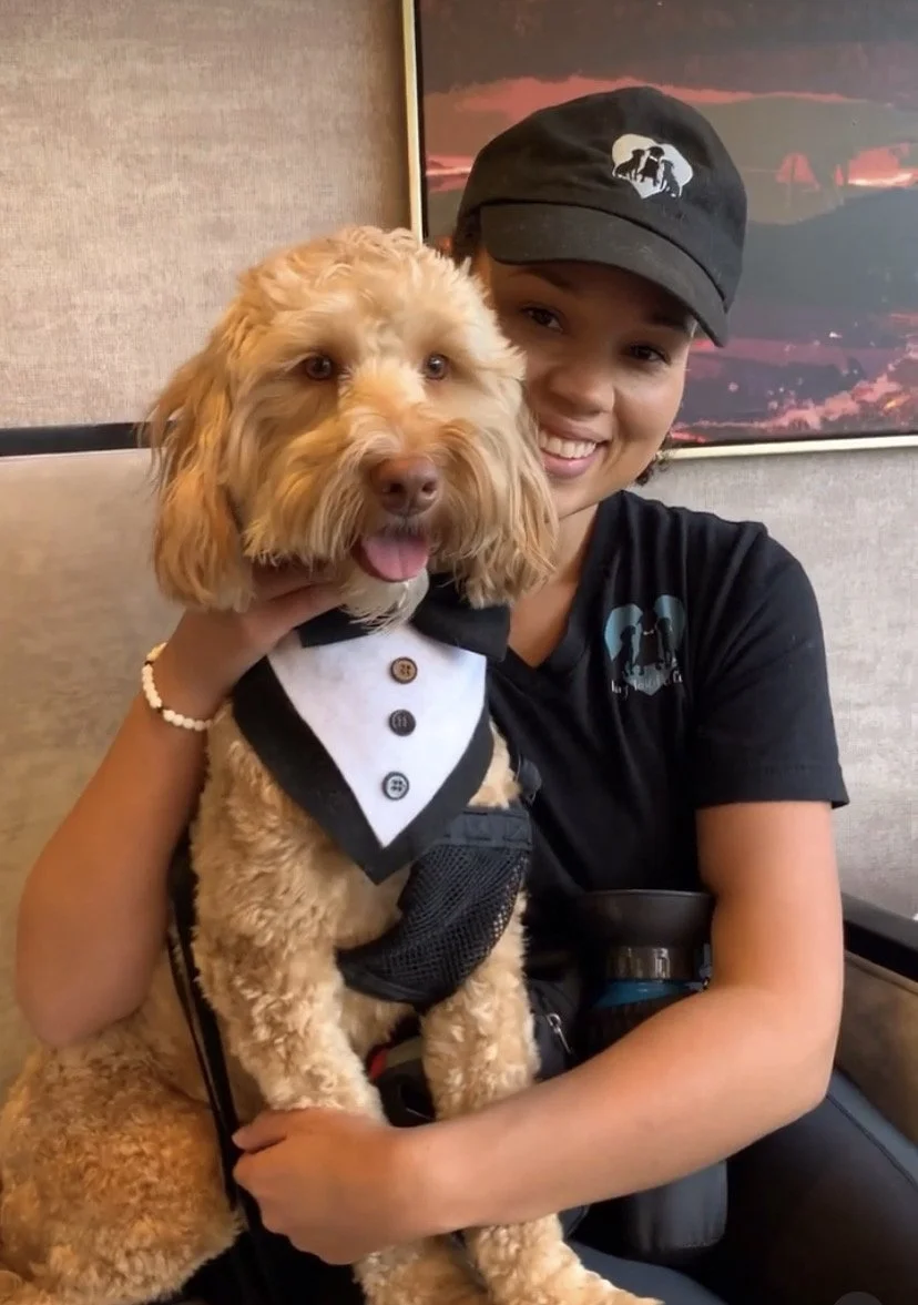 Wedding Pet Care Las Vegas — FairyTail Pet Care Wedding Day Pet Care!