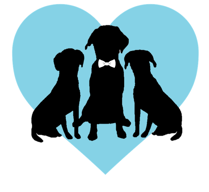 FairyTail Pet Care - Wedding Day Pet Care!