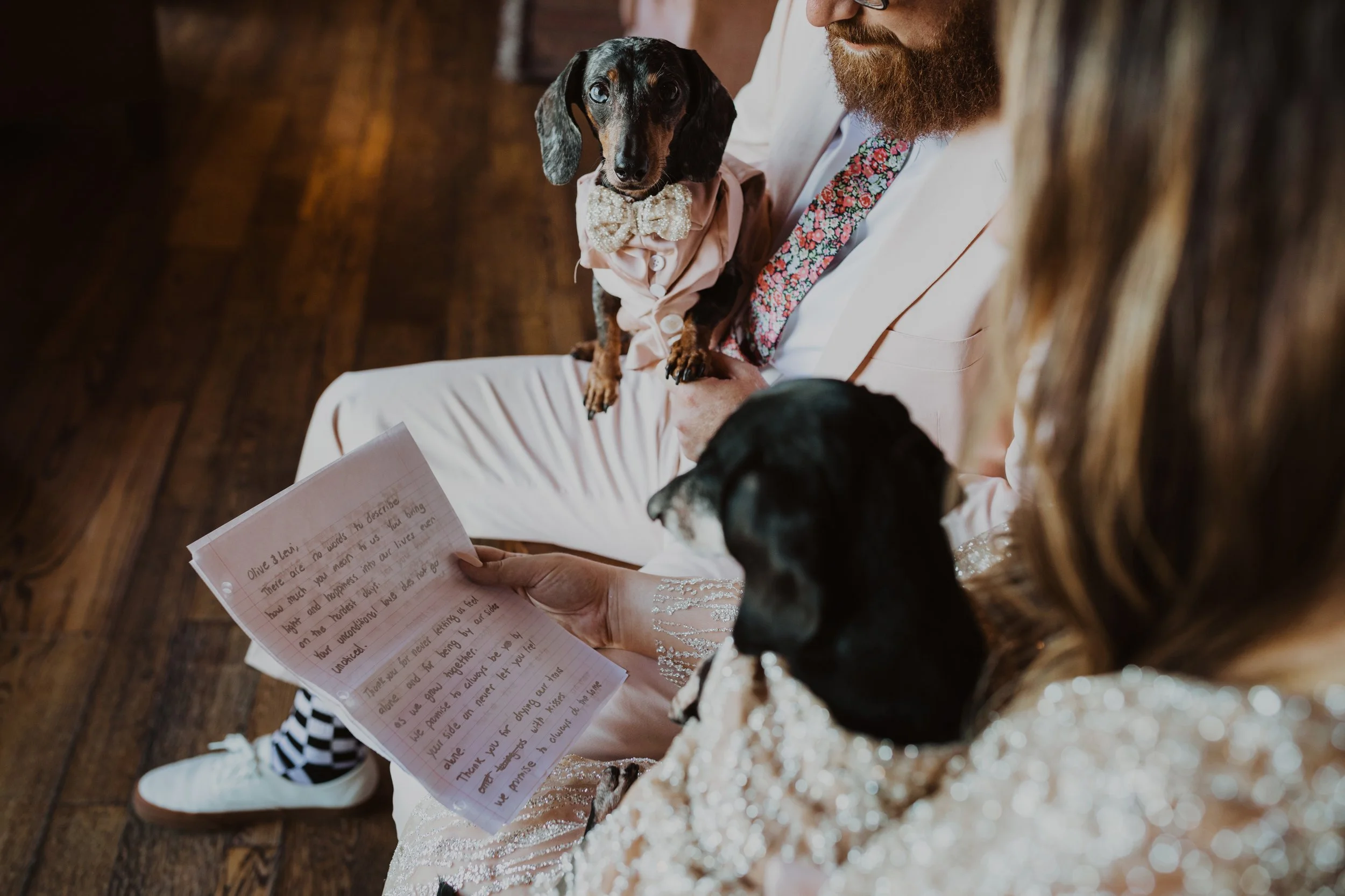 micro wedding with dogs